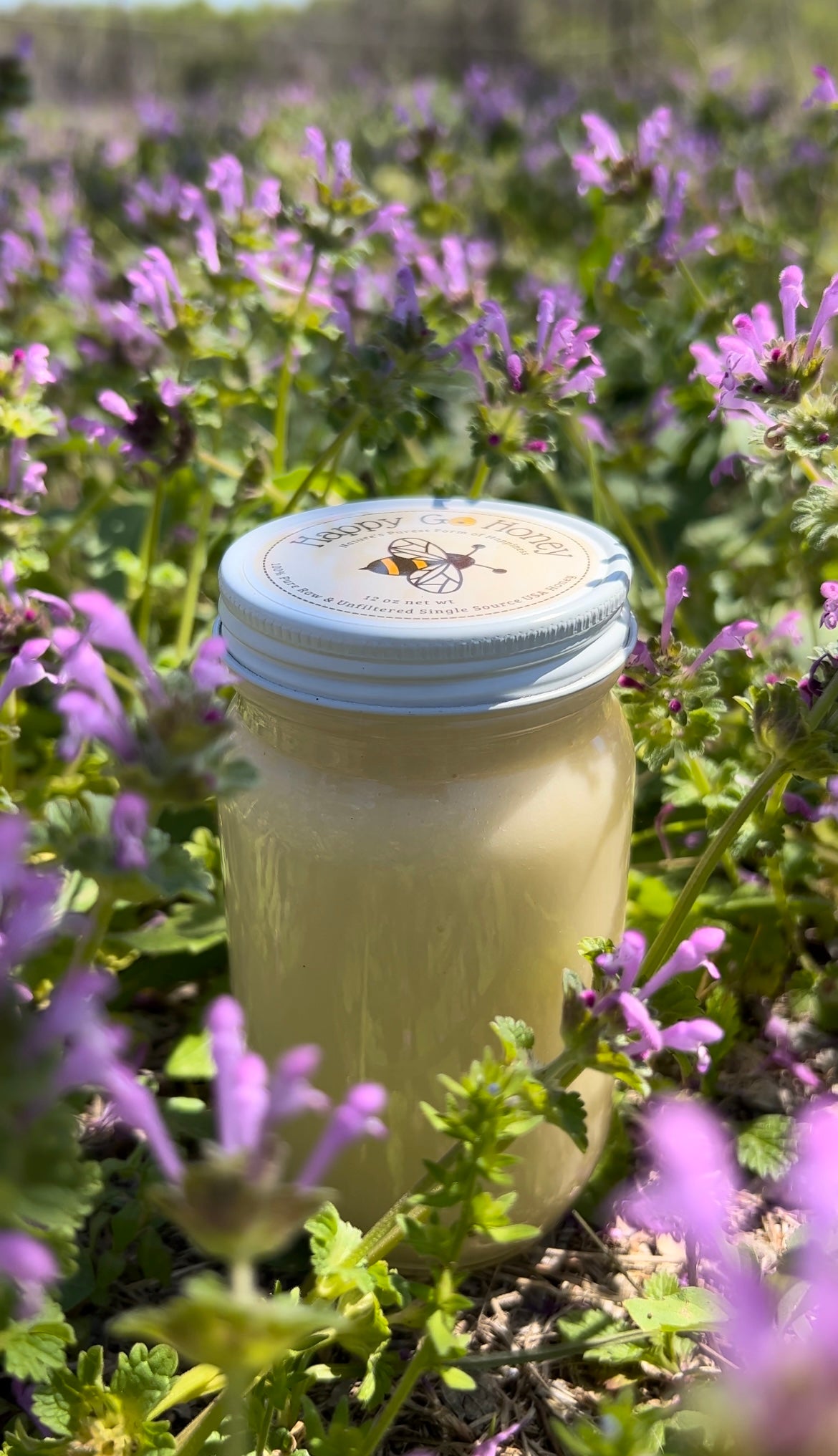 24 oz Whipped Honey